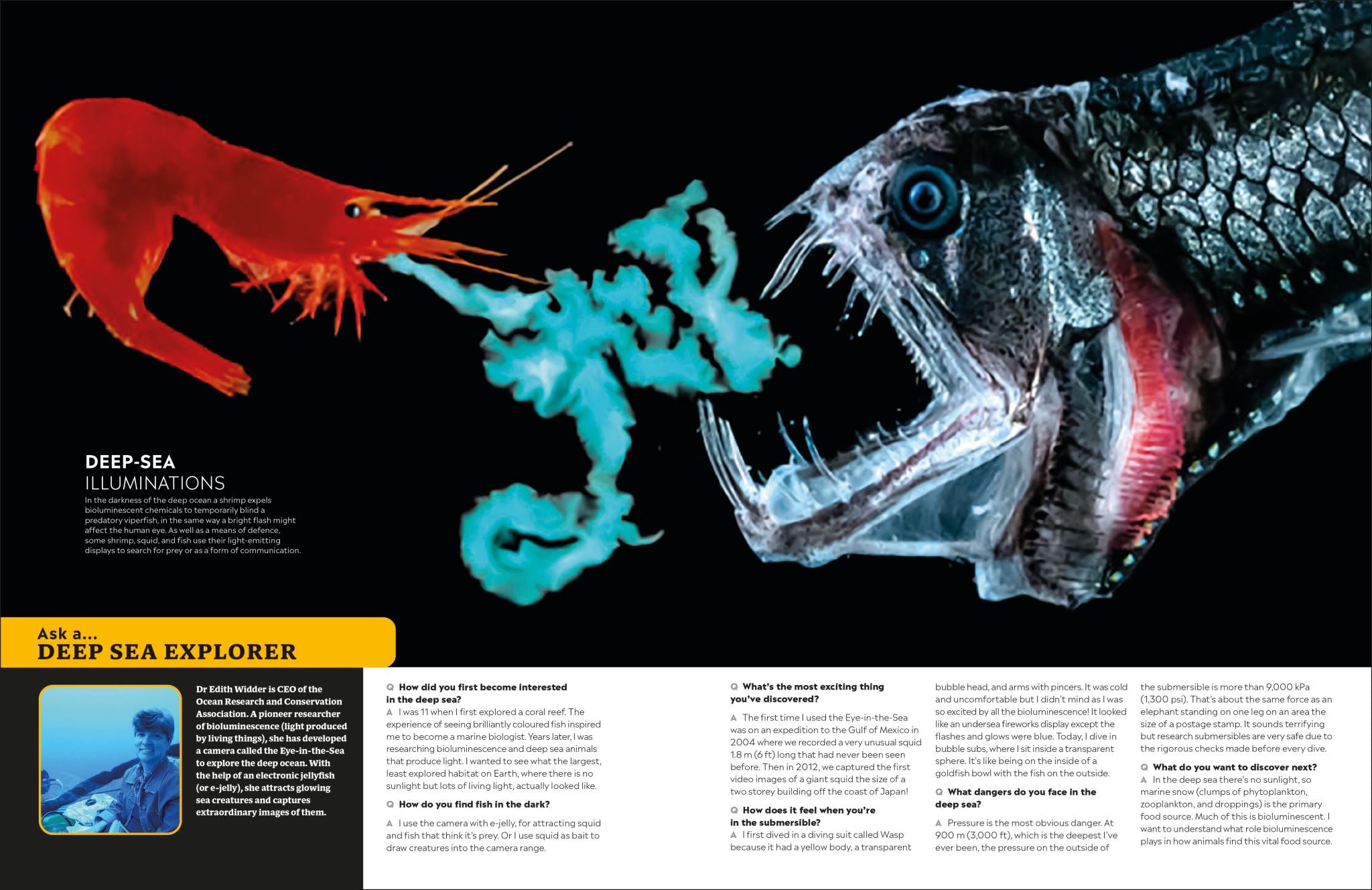 Eyewitness Encyclopedia of Animals