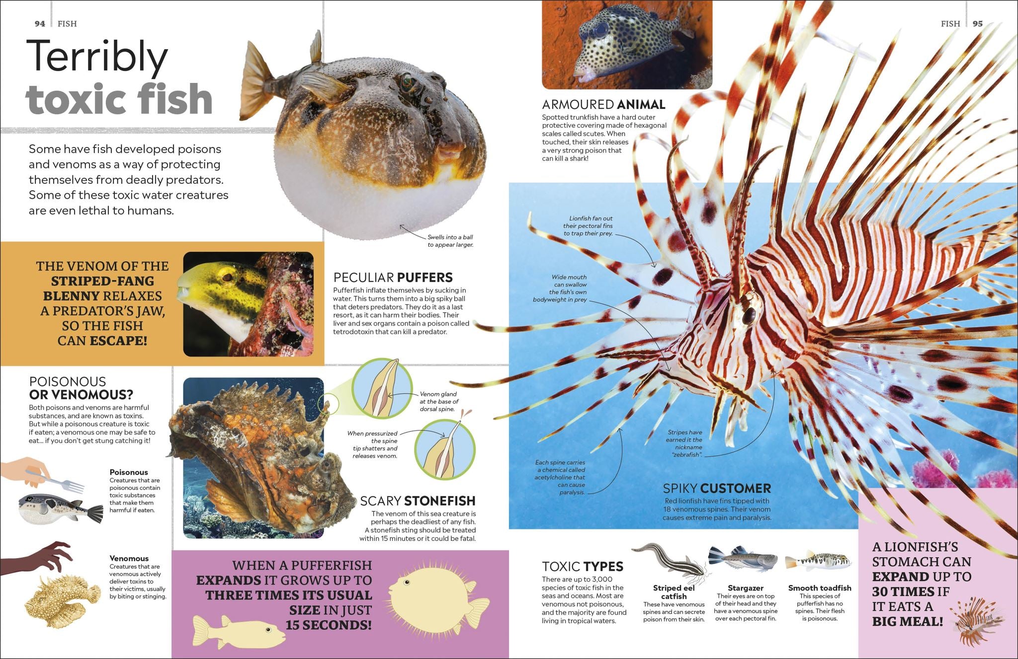 Eyewitness Encyclopedia of Animals