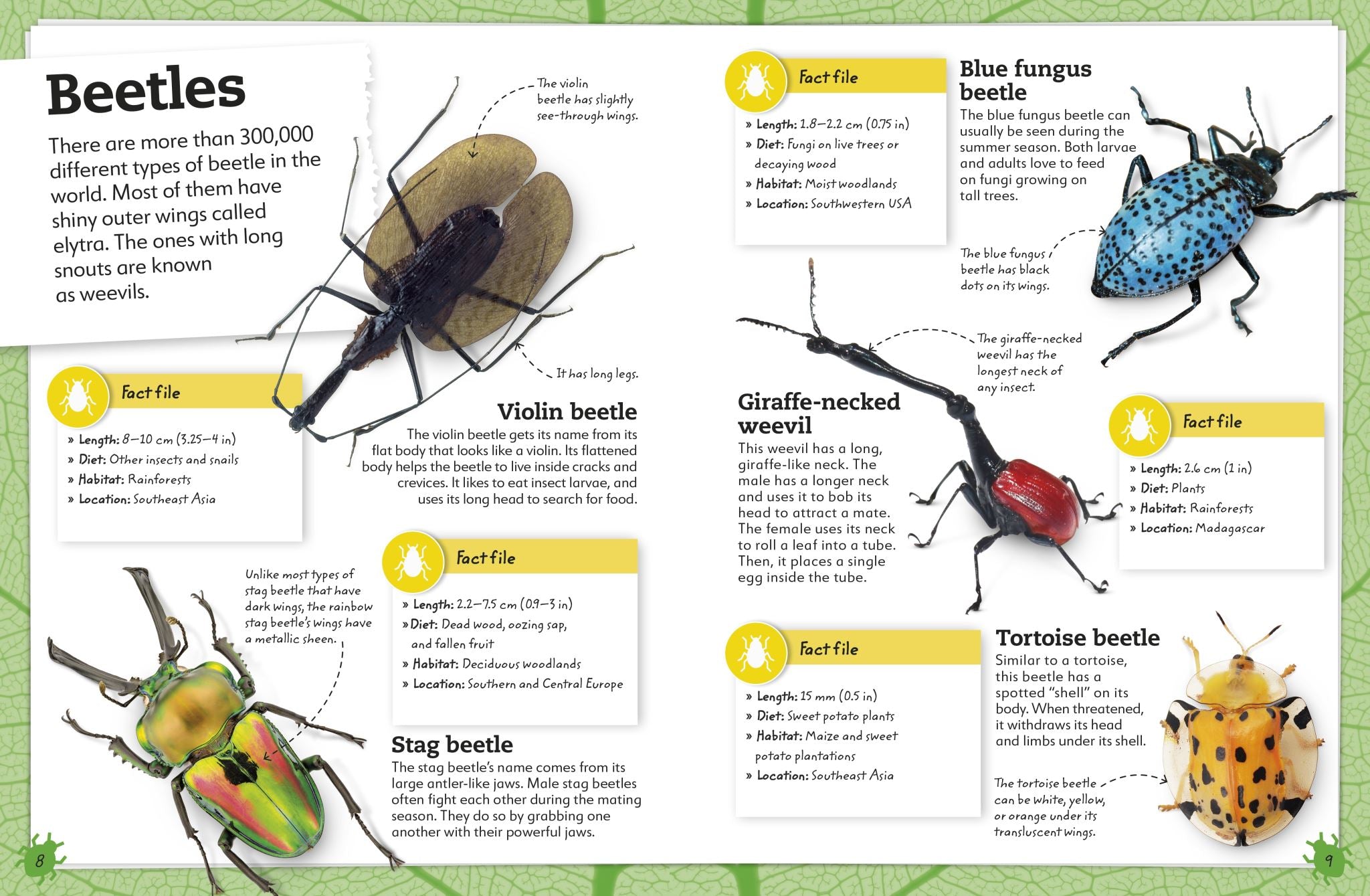 My Book of Bugs