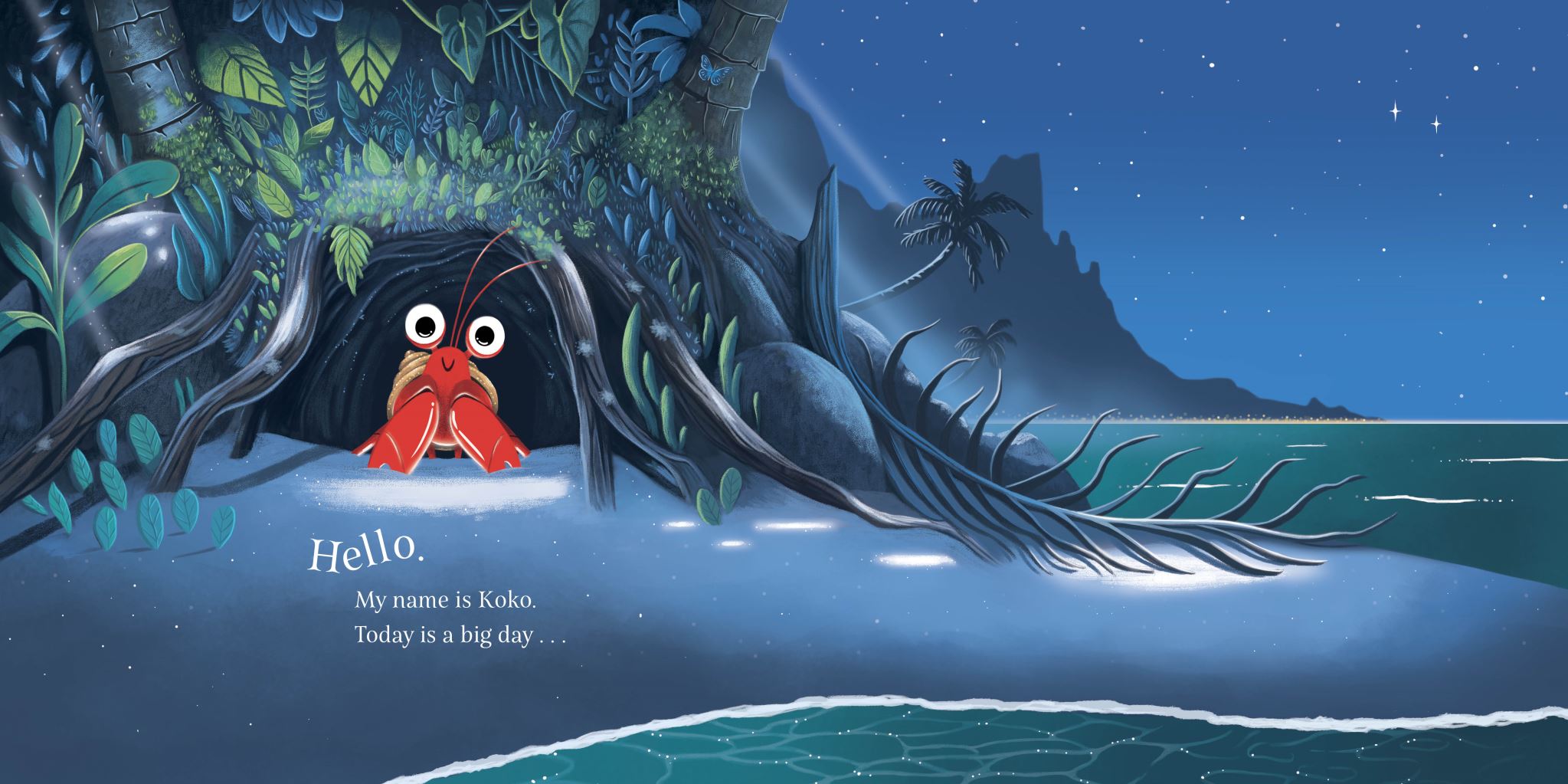 Koko and the Coconut