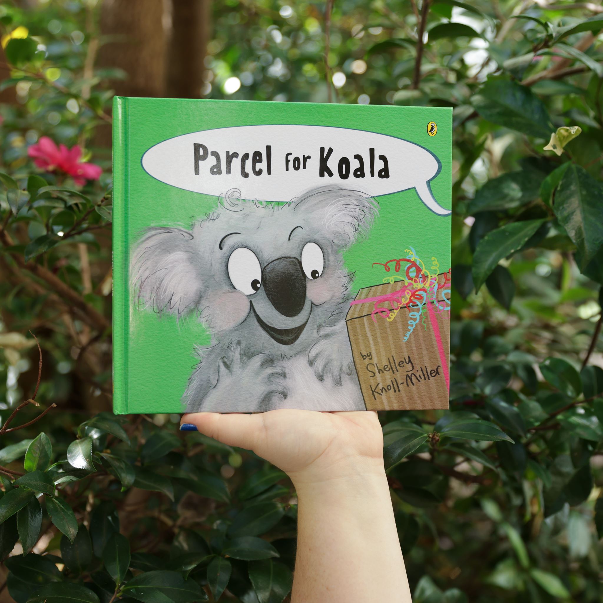 Parcel For Koala