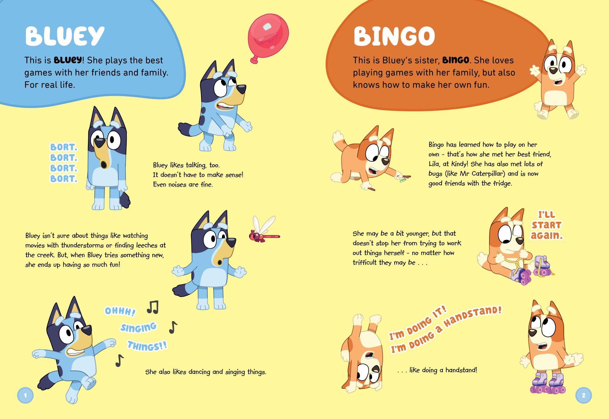 Bluey: Bluey's Big World