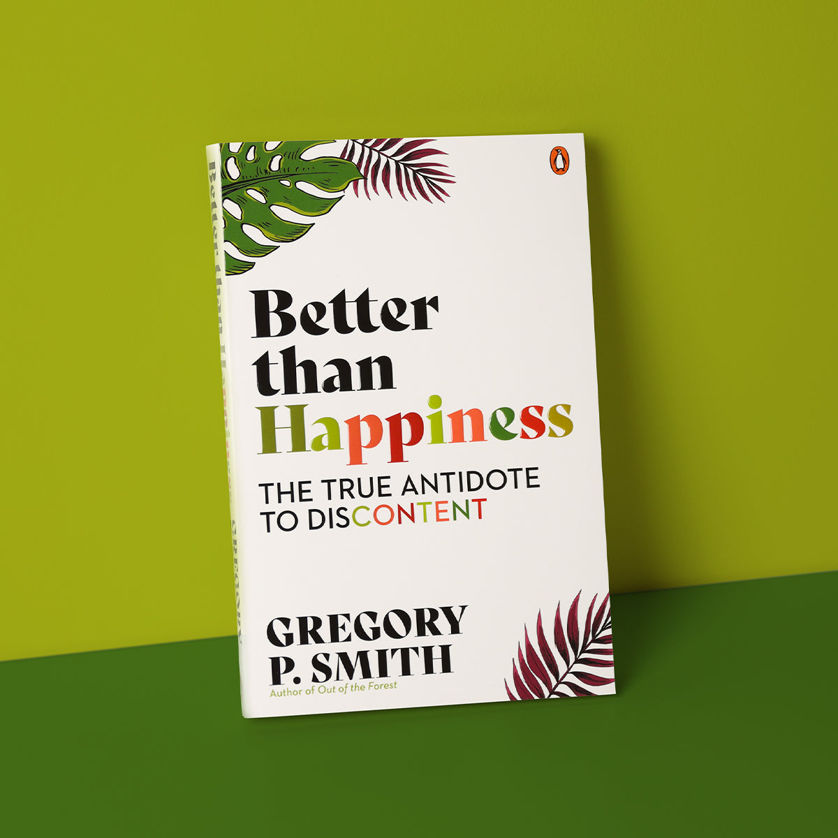 Better than Happiness