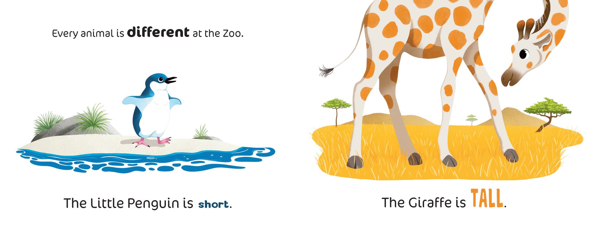 Taronga: Animal Opposites at the Zoo