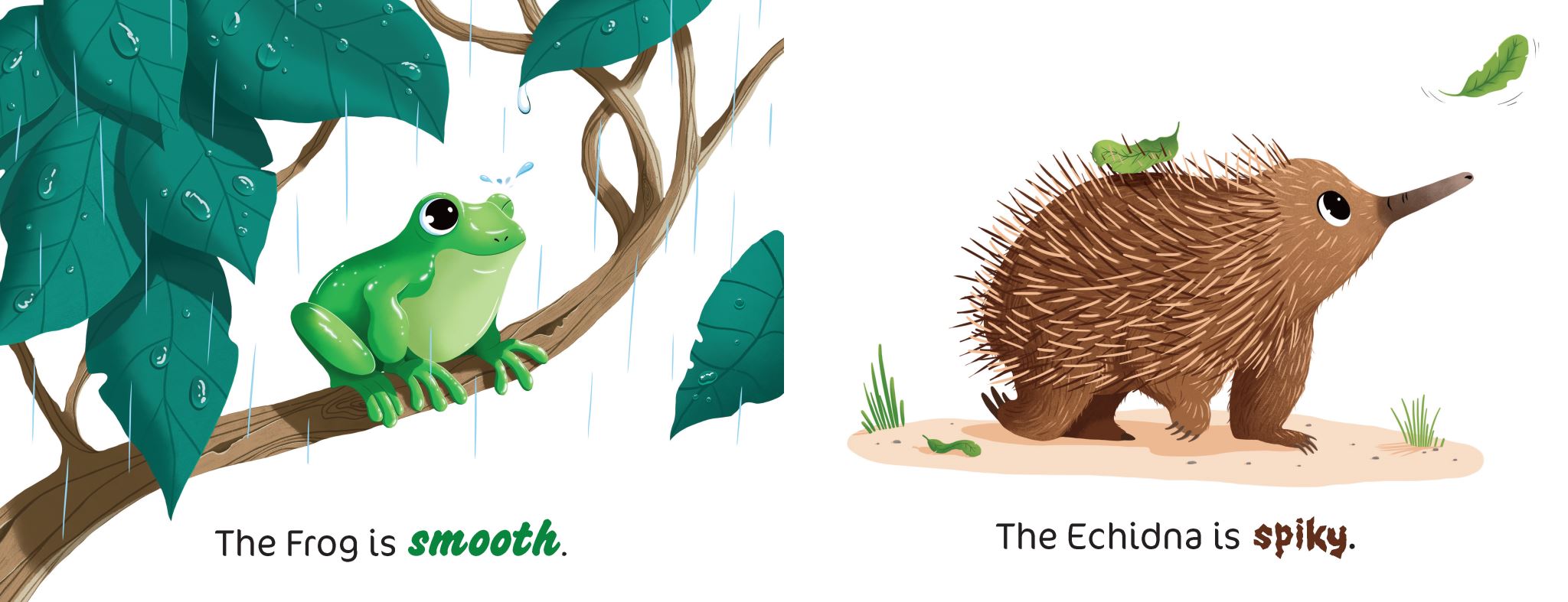 Taronga: Animal Opposites at the Zoo