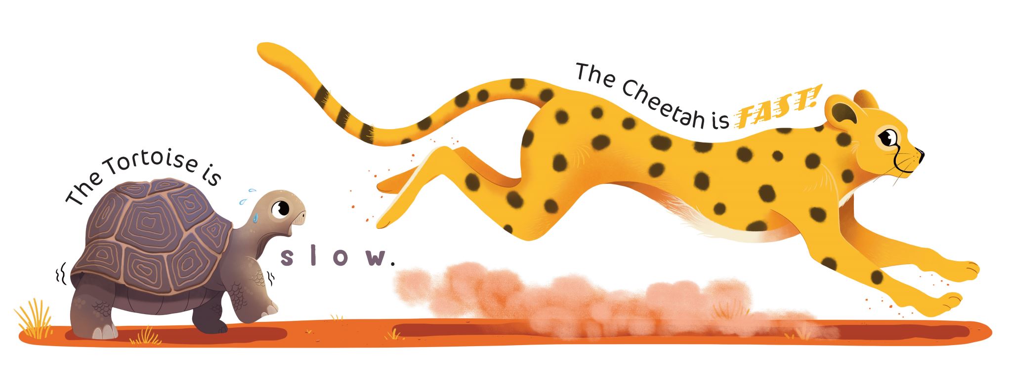 Taronga: Animal Opposites at the Zoo