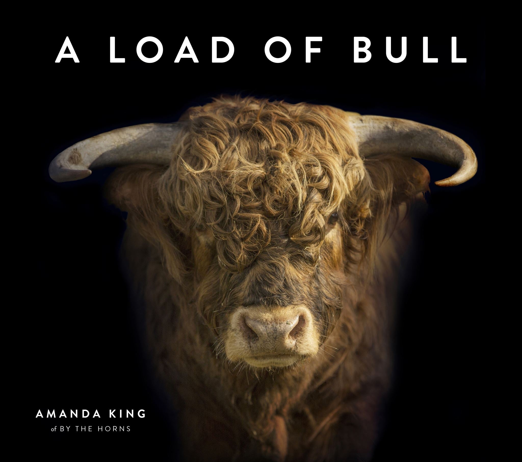 A Load of Bull
