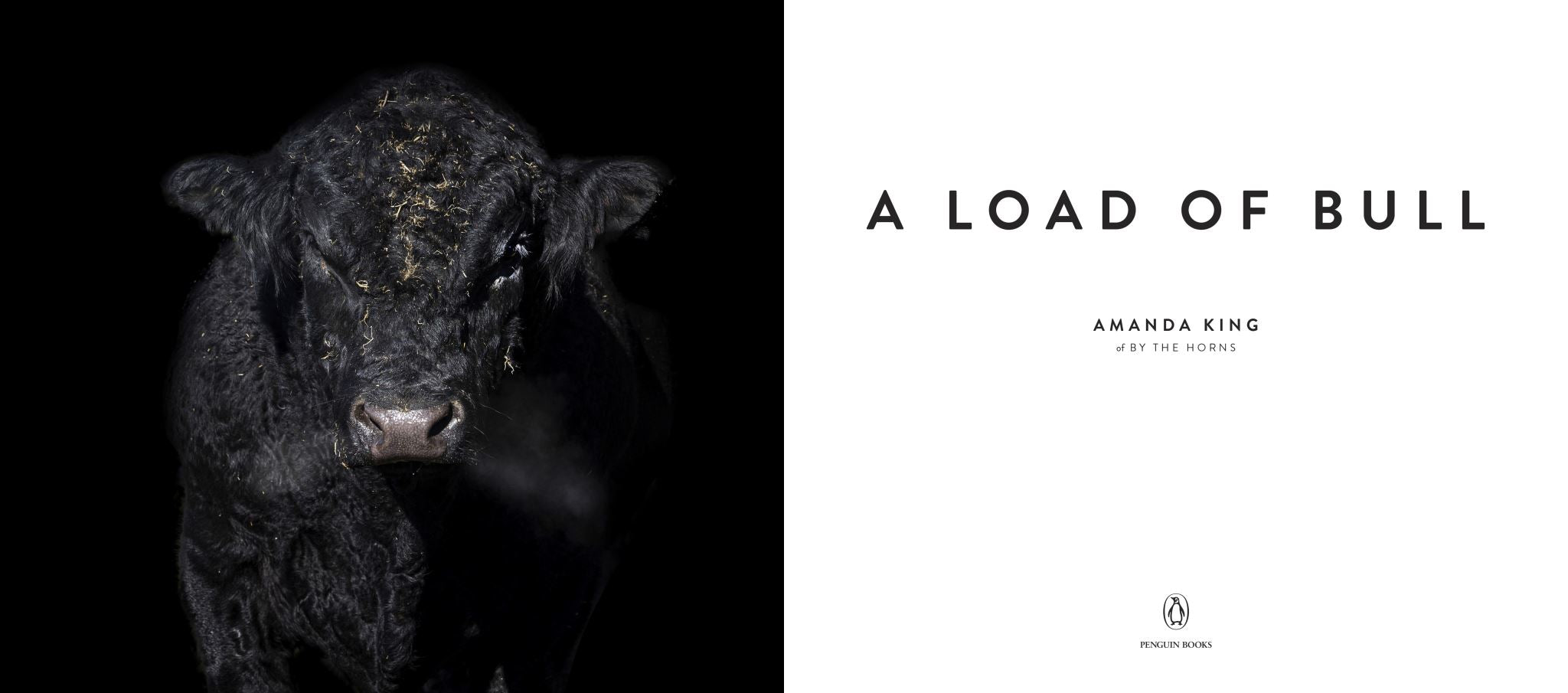 A Load of Bull