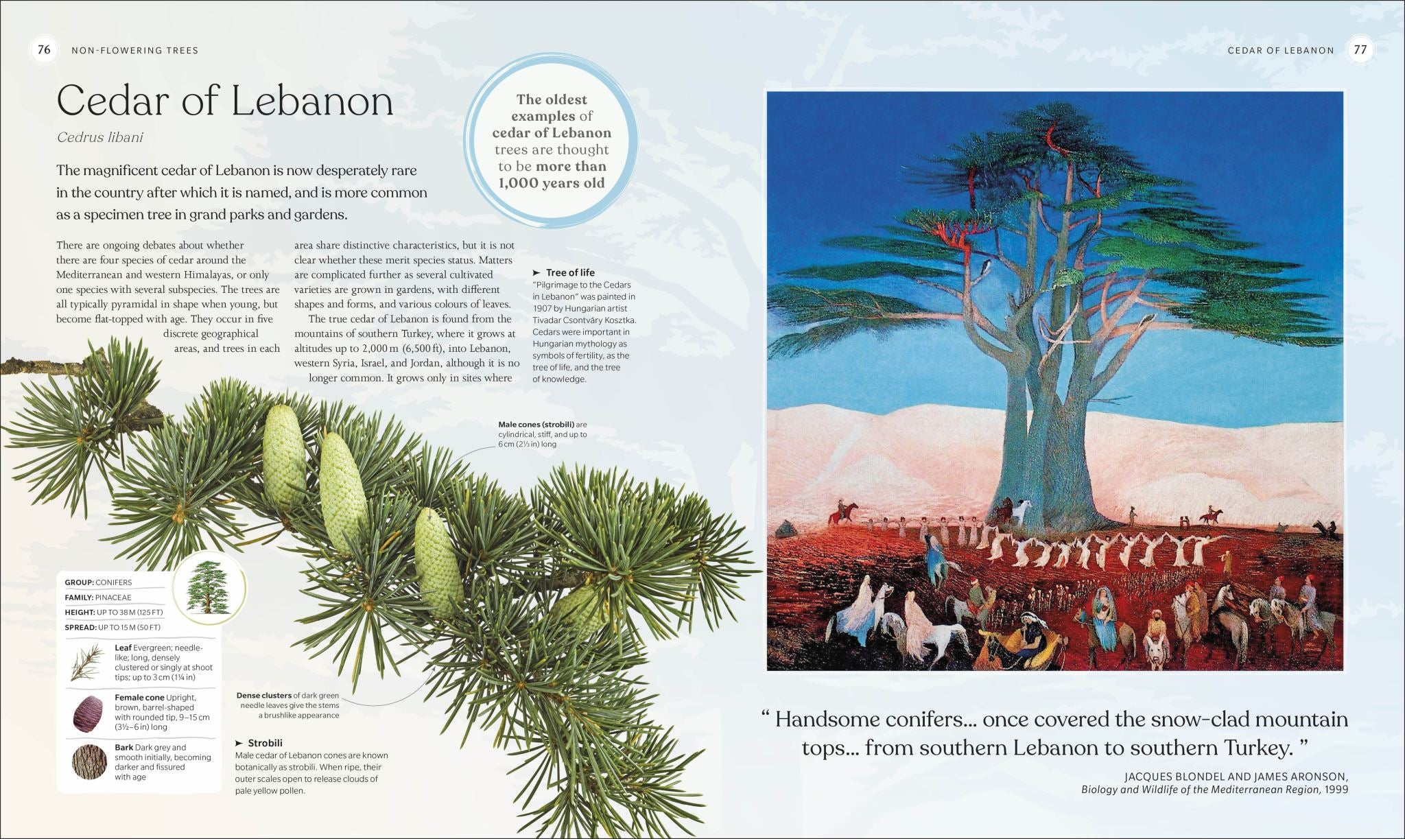 The Tree Book
