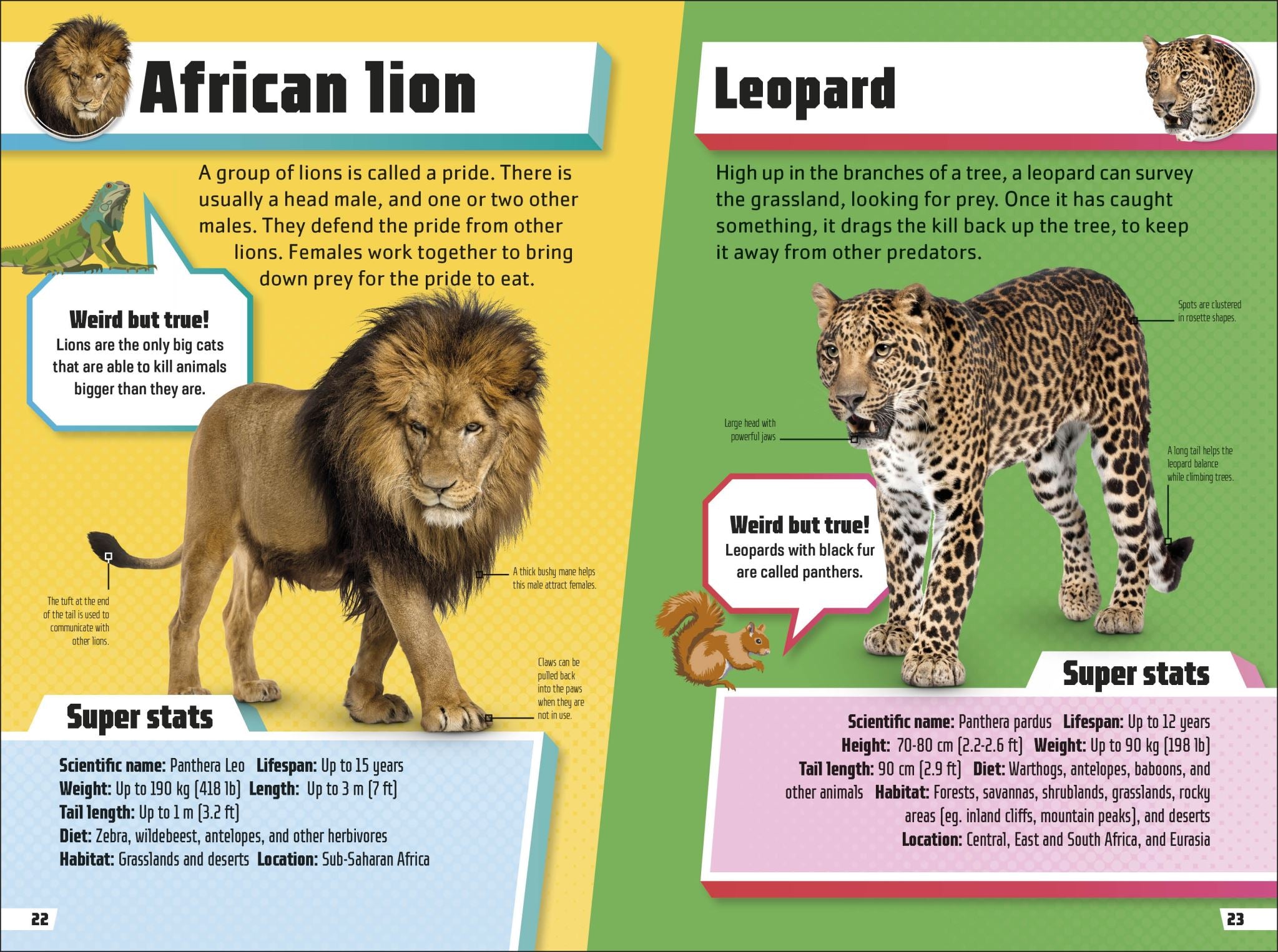 Animal Ultimate Handbook