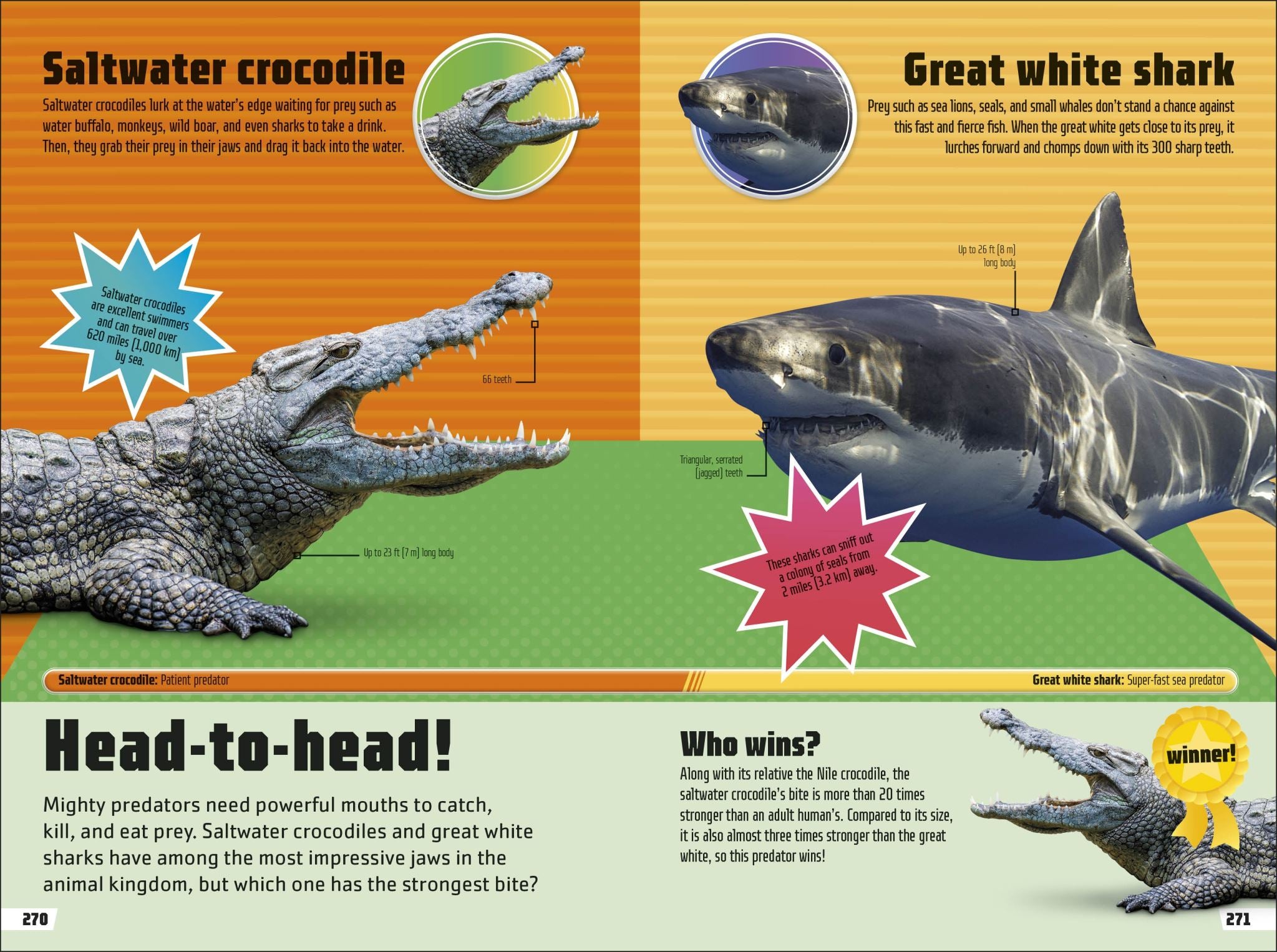 Animal Ultimate Handbook