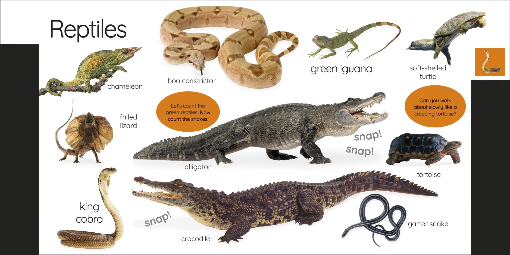 My First Animals: Let's Squeak and Squawk!