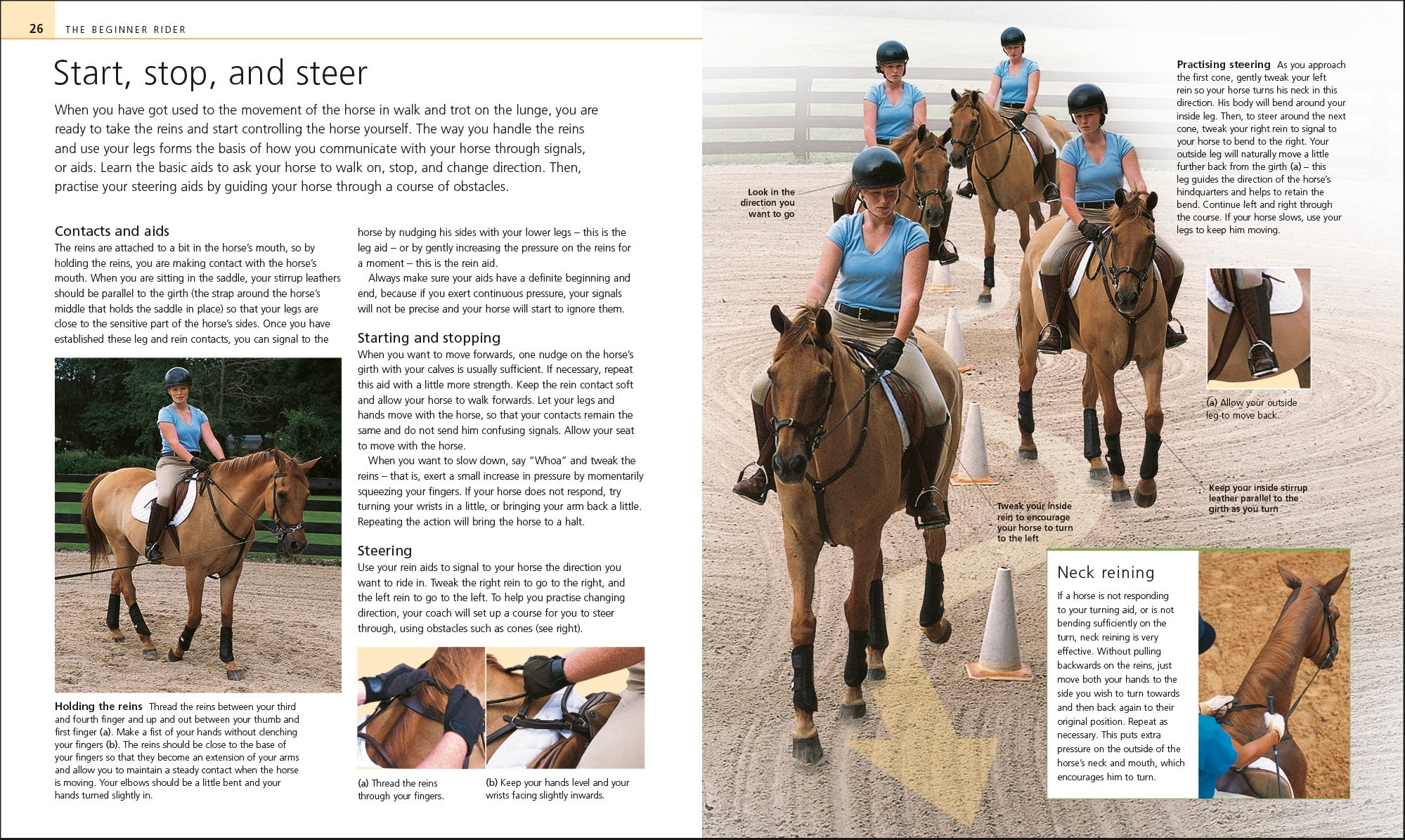 Complete Horse Riding Manual