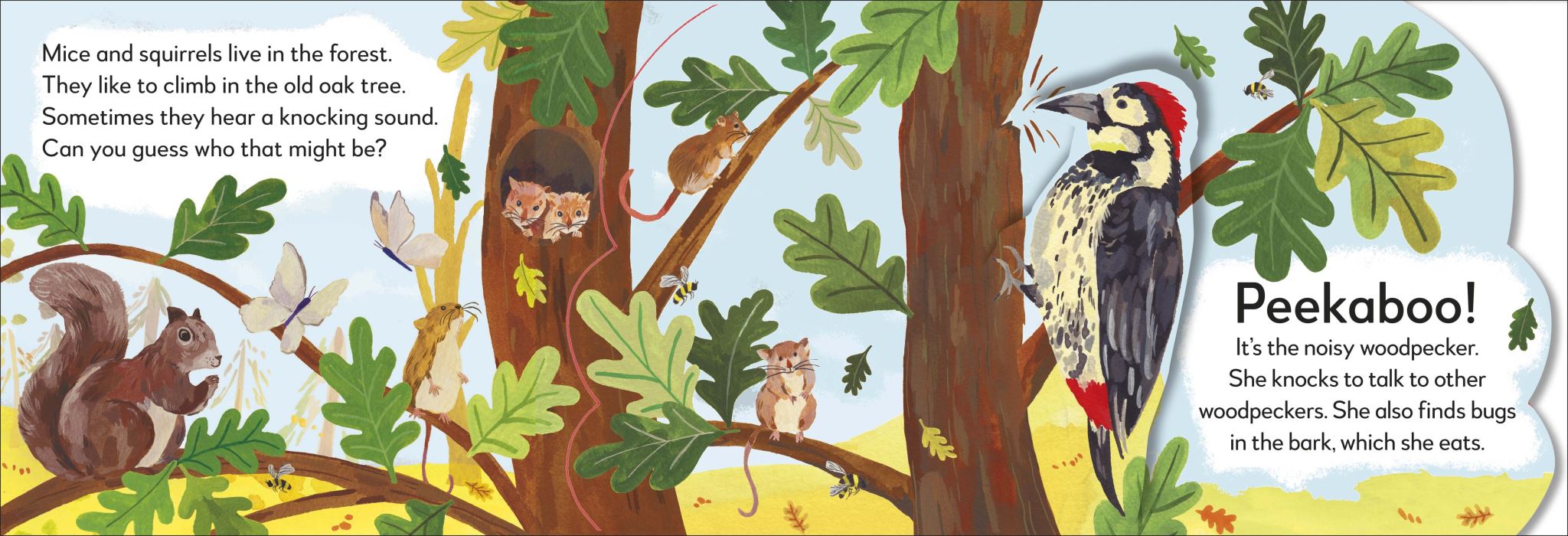 Pop-Up Peekaboo! Forest