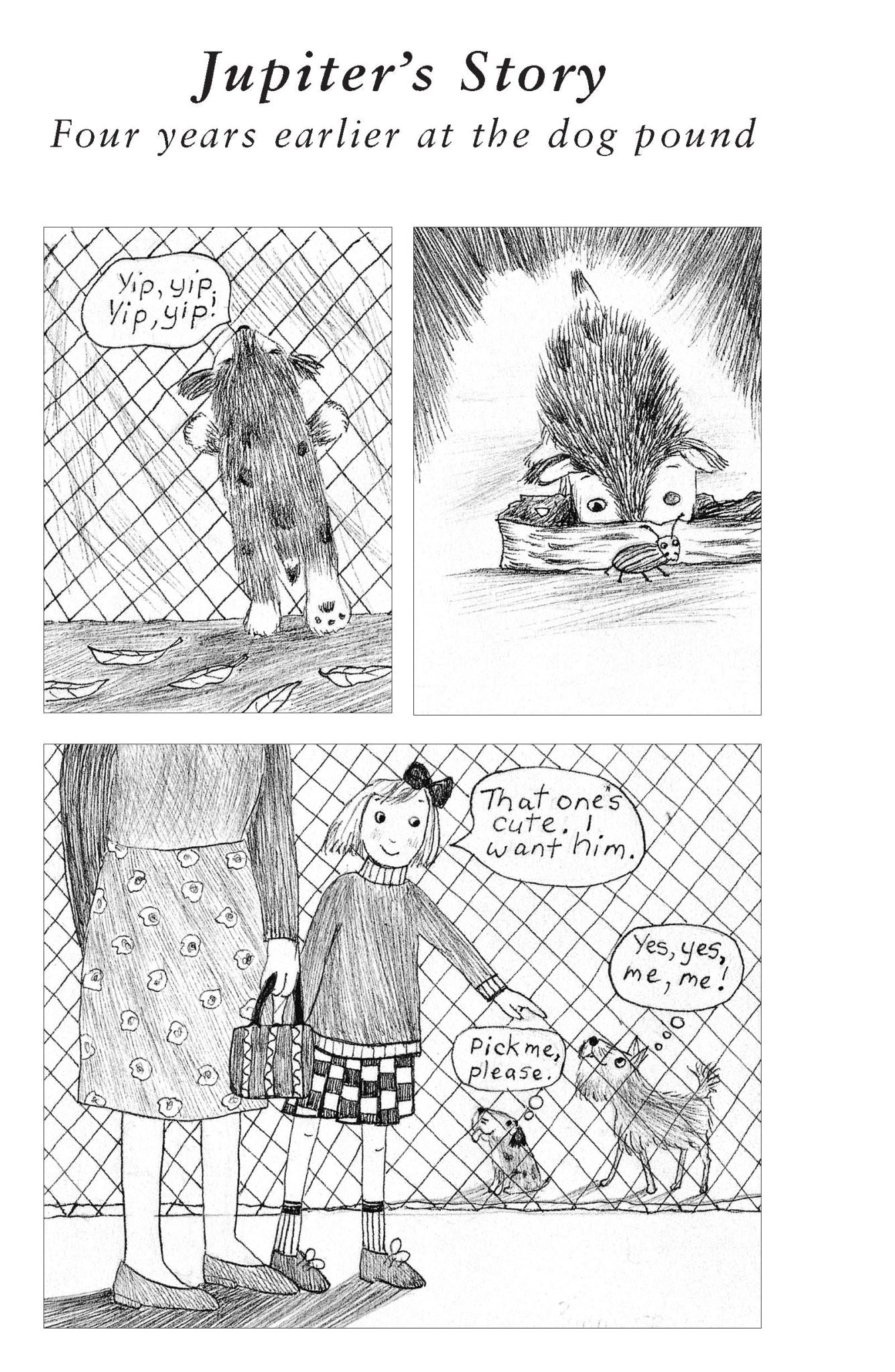 Zadie Ma and the Dog Who Chased the Moon