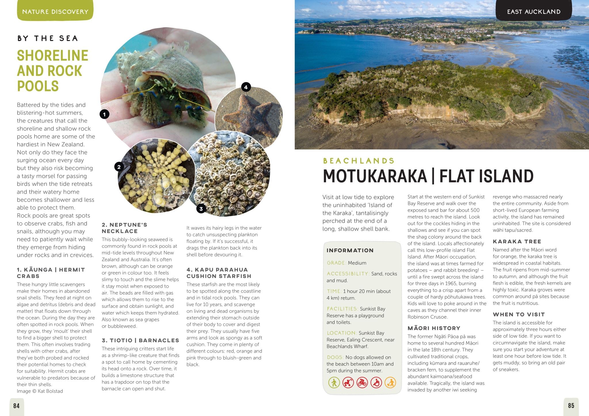 Kid-friendly Adventures Auckland