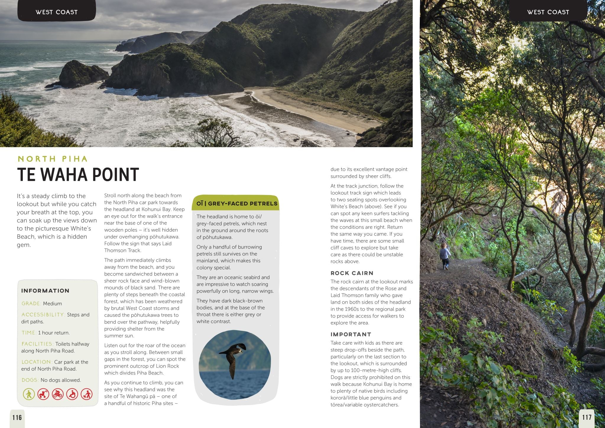 Kid-friendly Adventures Auckland