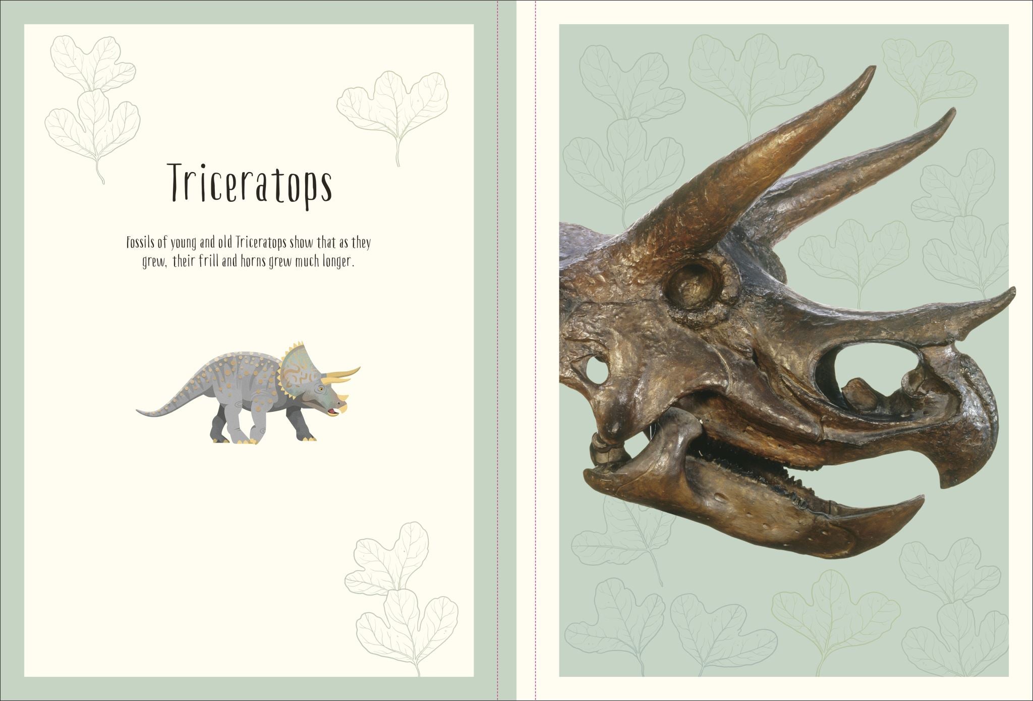 Dinosaurs and Other Prehistoric Life Poster Book