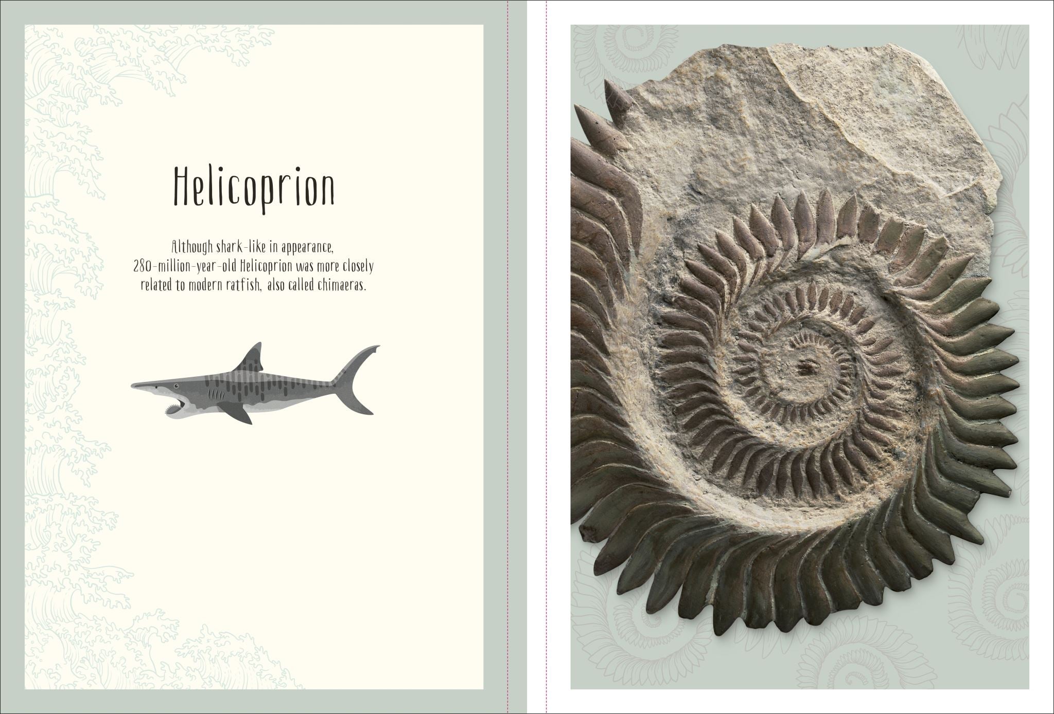 Dinosaurs and Other Prehistoric Life Poster Book