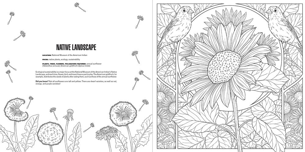 Gardens: A Smithsonian Coloring Book