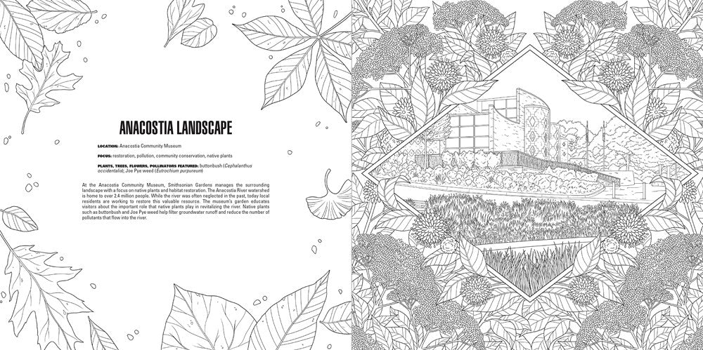 Gardens: A Smithsonian Coloring Book