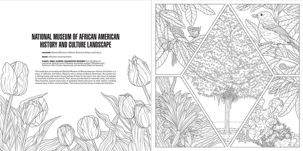 Gardens: A Smithsonian Coloring Book