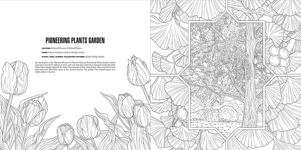 Gardens: A Smithsonian Coloring Book