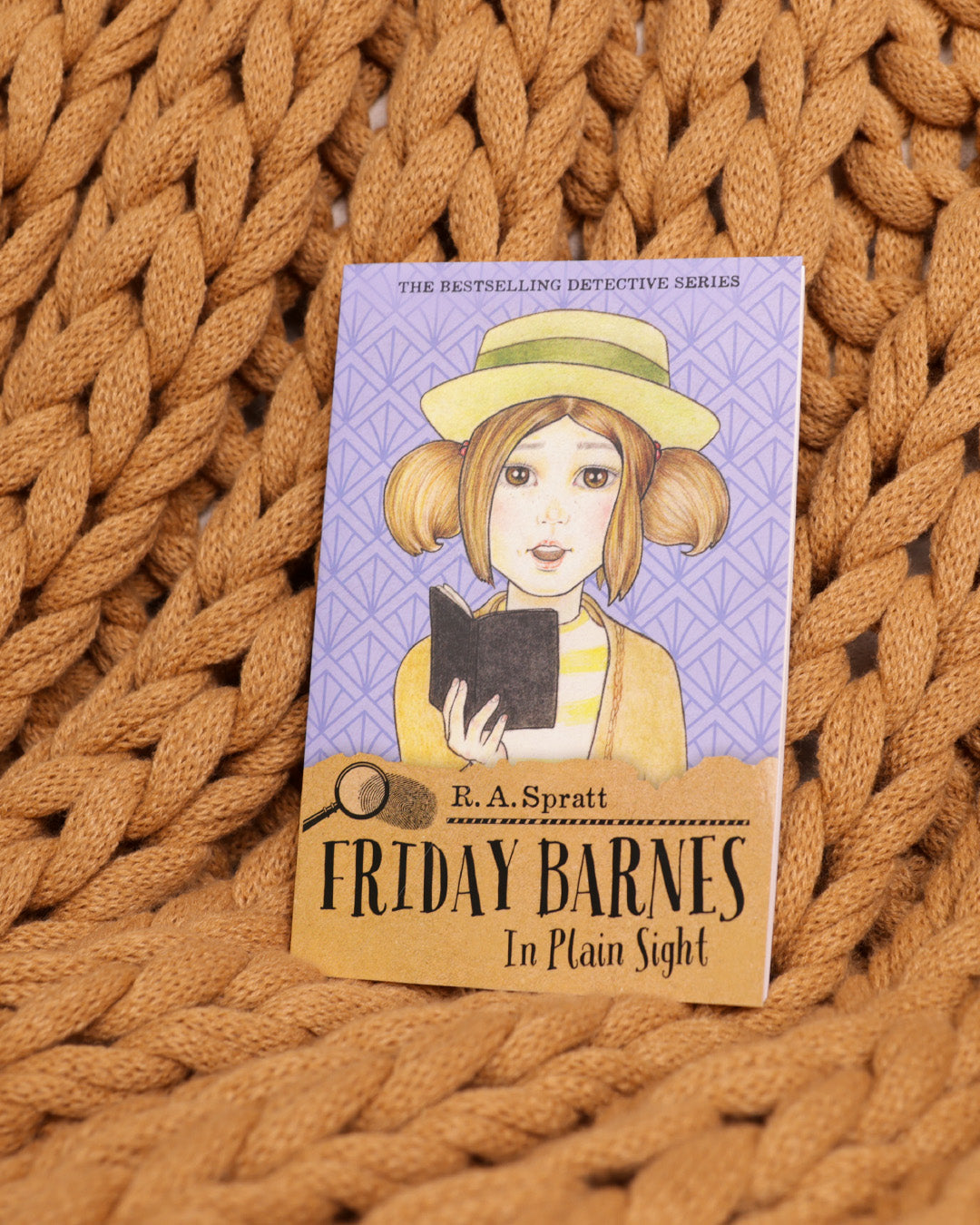 Friday Barnes 13: In Plain Sight