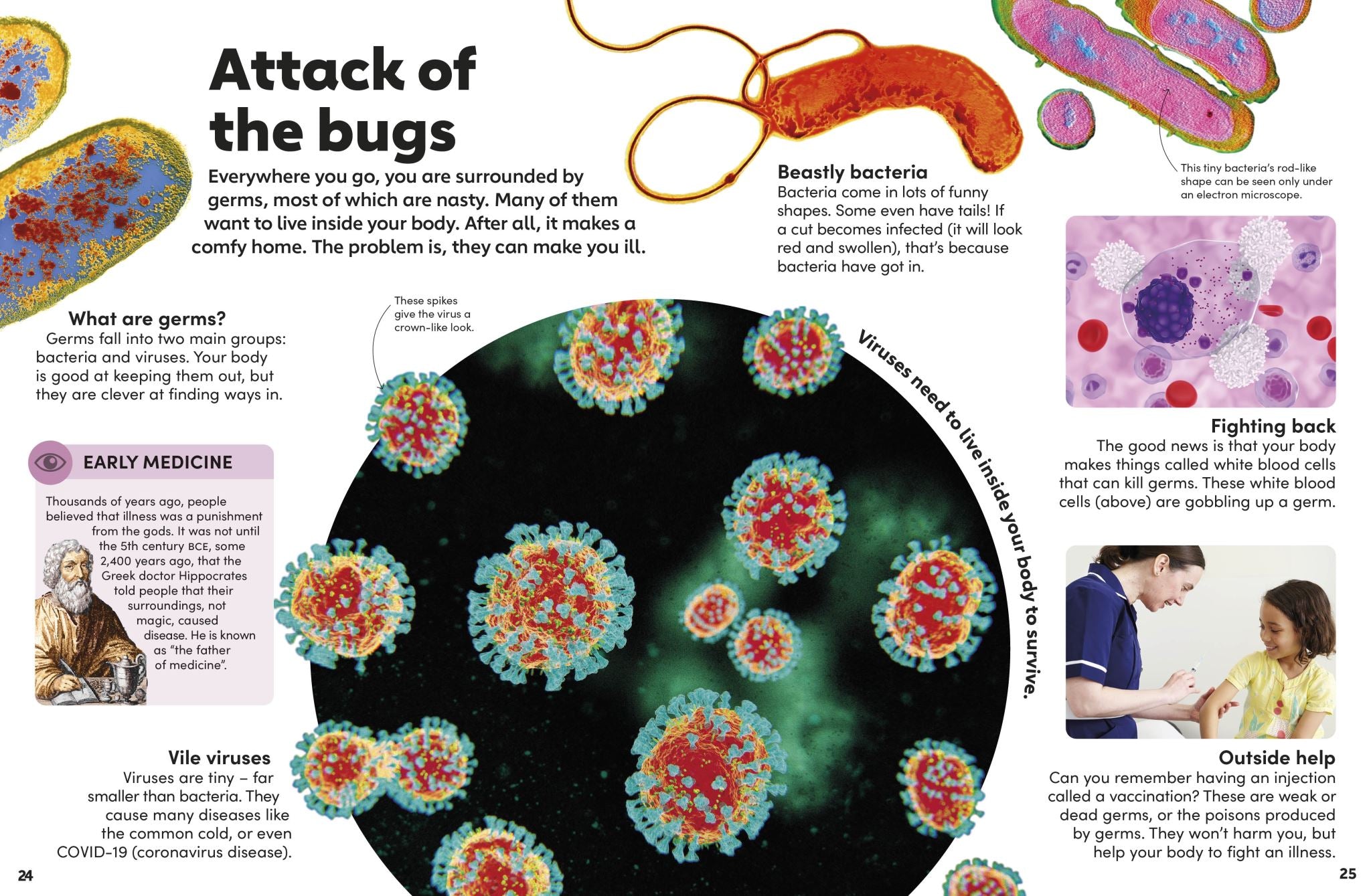 Eyewonder Human Body