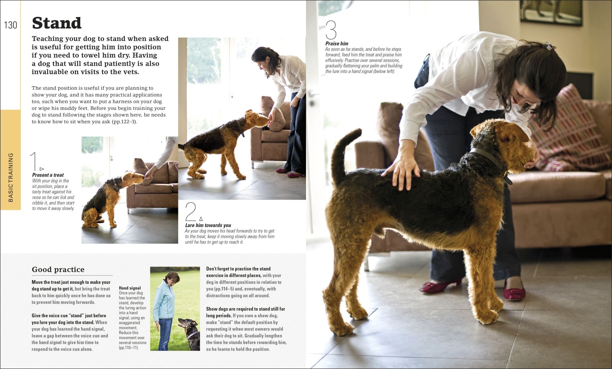 The Beginner's Dog Training Guide