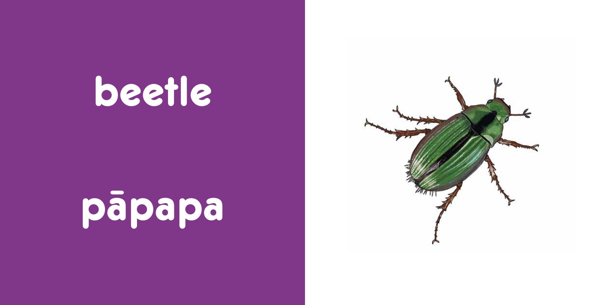 Nature for Kiwi Babies