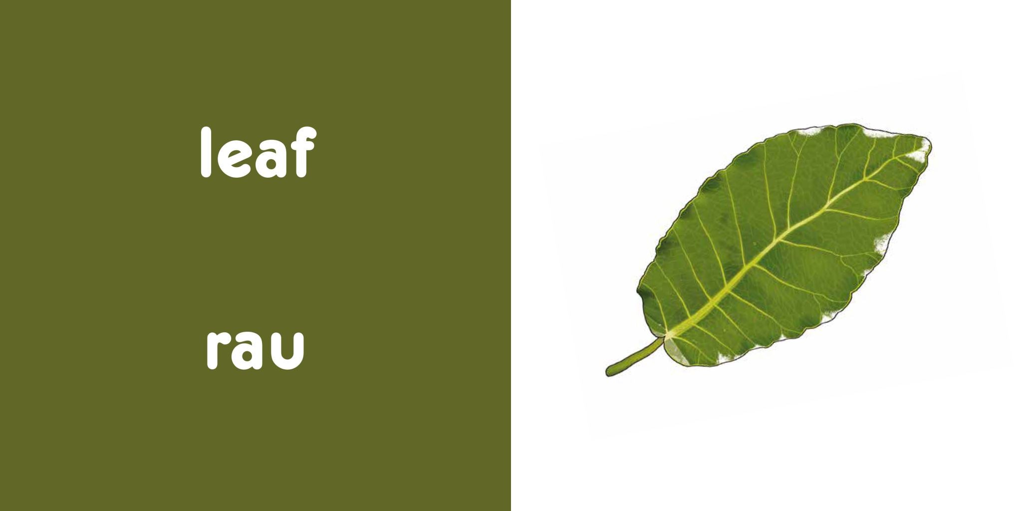 Nature for Kiwi Babies