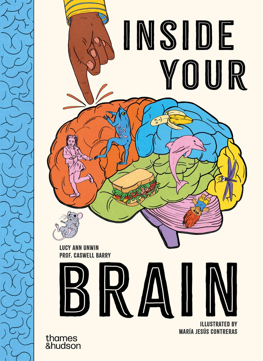 Inside Your Brain