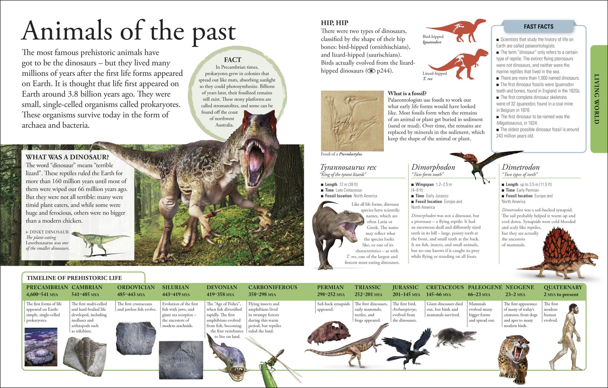 The New Children's Encyclopedia