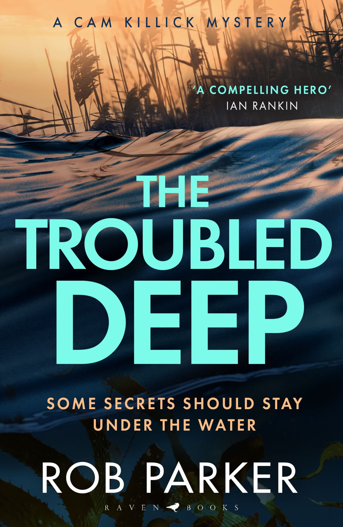 The Troubled Deep: 'The most brilliant Norfolk-set thriller since Elly Griffiths