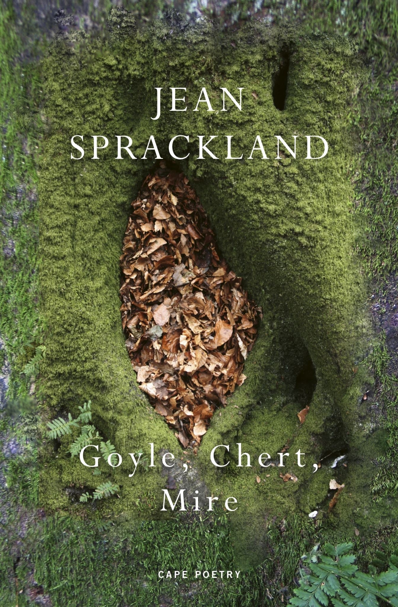 Goyle, Chert, Mire