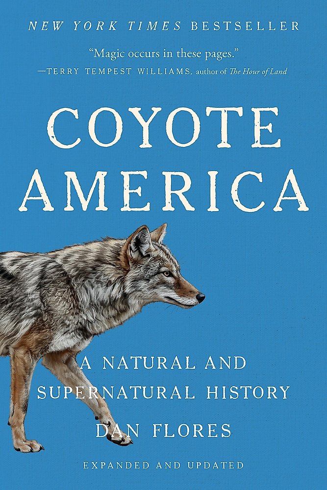 Coyote America