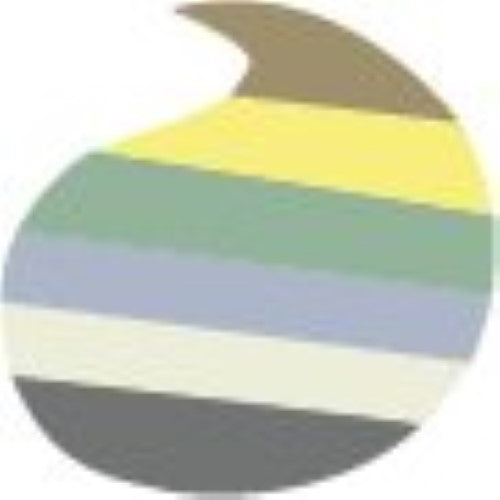 L'Oreal Color Riche Eyeshadow Palette - (Gold) 7g/0.23oz