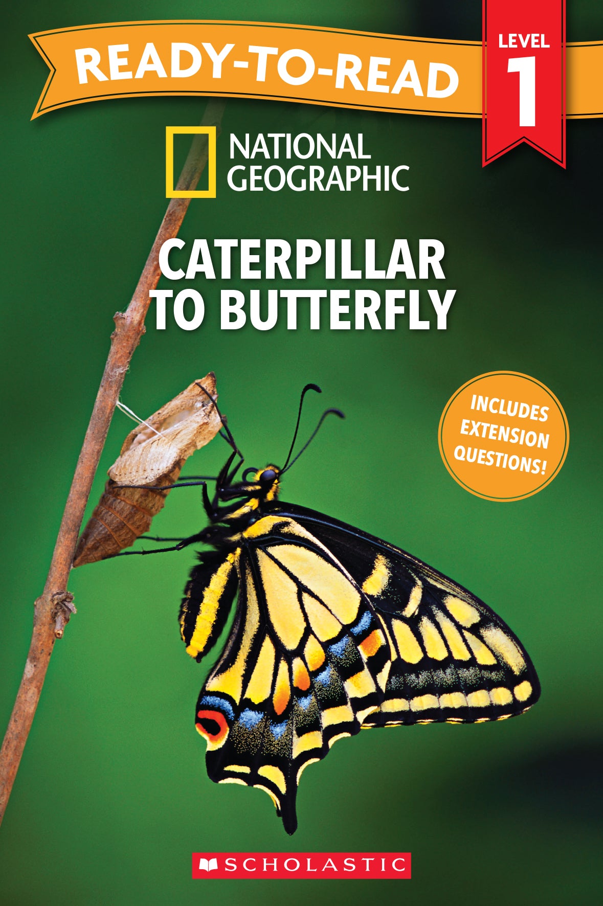 National Geographic: Caterpillar to Butterfly - Ready-to-Read Level 1