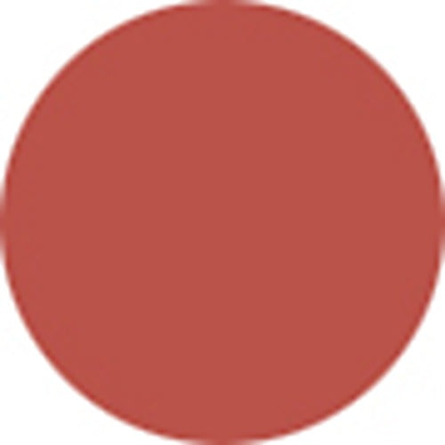 Clinique Chubby Stick - No. 04 Mega Melon 3g/0.10oz