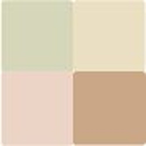 Dr. Hauschka Colour Correcting Powder - # 00 Translucent 8g/0.28oz