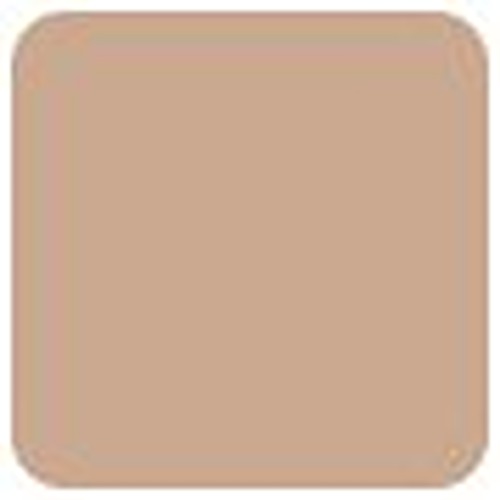 Bobbi Brown Highlighting Powder Set (1x Highlighting Powder + 1x Mini Face Brush