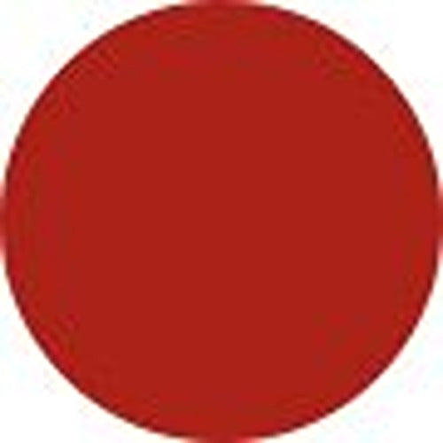 Tom Ford Lip Color Satin Matte - # 51 Afternoon Delight 3.3g/0.11oz