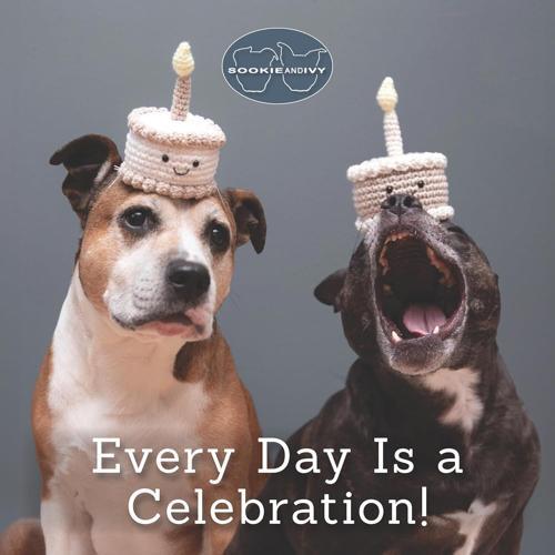 Sookie and Ivy Every Day Is A Celebration - Craft Book - by Jani Oja - Hardcover