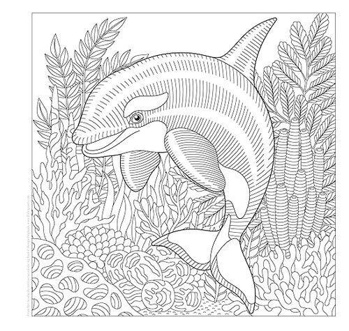Spectacular Ocean Creatures Coloring Book - by Veronica Hue - Paperback