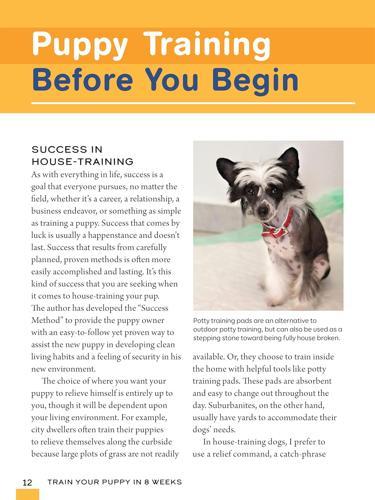 Train Your Puppy in 8 Weeks - by Charlotte Schwartz - Paperback