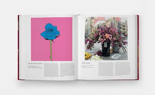 The Rose Book - by Kristine Paulus - Hardcover