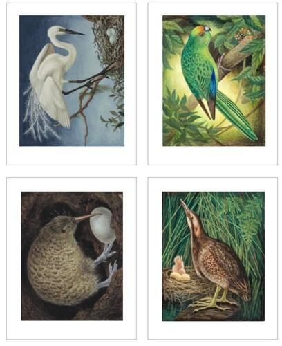 Eileen Mayos Rare and Endangered Birds of Aotearoa New Zealand 30 Pull Out