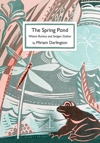 The Spring Pond - Card Set - by Miriam Darlington