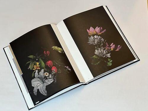 Sakiko Nomura Tender Is The Night - by Simon Baker - Hardcover